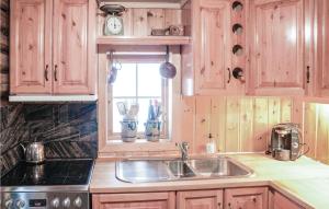 a kitchen with wooden cabinets and a sink and a window at 4 Bedroom Stunning Home In Rendalen in Rendalen