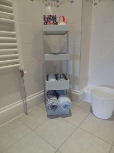 - Baño con toallero eléctrico y toallas en Birchwood House en Church Stretton