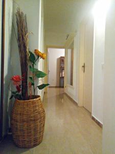 Fotografia z galérie ubytovania Beautiful Apartment -up to 4 guests- close to City Centre! v Solúne