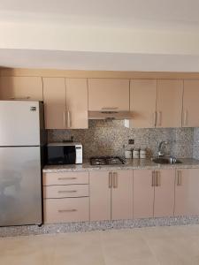 La cuisine est équipée d'un réfrigérateur et d'un évier. dans l'établissement Saramica Seaside apartment, à Fnideq