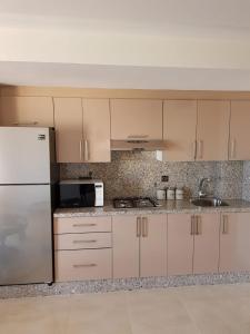 Kuchyň nebo kuchyňský kout v ubytování Saramica Seaside apartment