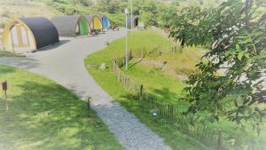 a park with a bunch of trees around it at East Coast Adventure Centre Glamping in Rostrevor