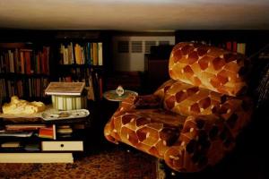 a living room with a giraffe chair and a book shelf at Conca di Sopra in Massarosa