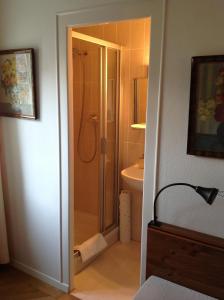 a bathroom with a shower and a sink at Auberge de Dully in Dully