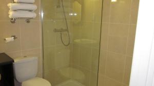 
a bathroom with a shower stall and a toilet at Mourne Country Hotel in Newry

