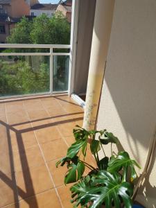 Balkon lub taras w obiekcie Apartamento Los Pacos Fuengirola