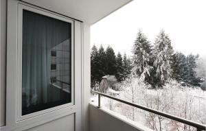 2 Bedroom Cozy Apartment In Goslar om vinteren