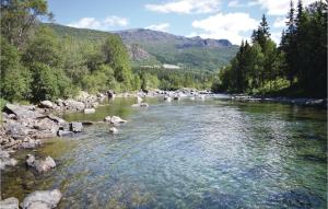 un fiume con rocce e uccelli nell'acqua di Holde a Hemsedal