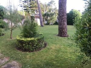 Zahrada ubytování Casa do Pinhal Guest House