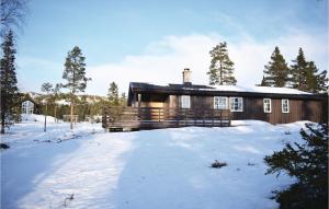 Four-Bedroom Holiday Home In Eggedal v zimě