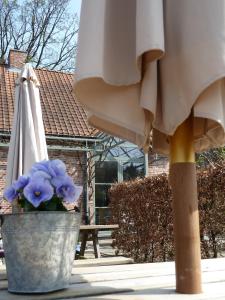 Rõdu või terrass majutusasutuses B&B Zinnen en Minnen