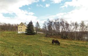 a horse grazing in a field in front of a house at Awesome Home In Korsfjorden With Wifi in Komagfjord