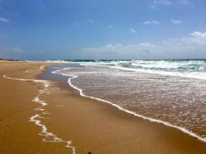 a beach with the ocean and the waves at ALYNES in Areia Branca