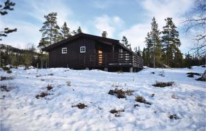 Four-Bedroom Holiday Home In Eggedal v zimě