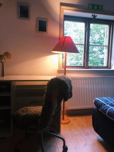 um cão sentado numa cadeira numa sala com um candeeiro em Bo i Remmarlöv em Eslöv