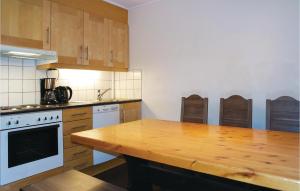 ヘムセダールにある2 Bedroom Awesome Apartment In Hemsedalのキッチン(木製キャビネット、木製カウンタートップ付)