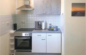 Gollwitzにある1 Bedroom Gorgeous Apartment In Insel Poel-gollwitzの小さなキッチン(シンク、コンロ付)