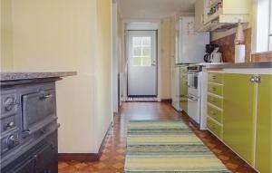 a kitchen with green cabinets and a rug on the floor at Amazing Home In Hästveda With Wifi in Hästveda