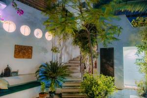 Zahrada ubytování Los Milagros Hotel