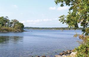 SaltärnaにあるHoliday Home Ronneby Lxxxvの岸辺の木々が流れる川の眺め