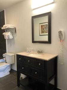 A bathroom at Budget Inn & Suites