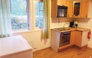 een kleine keuken met een fornuis en een raam bij 3 Bedroom Cozy Home In Eidfjord in Eidfjord