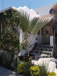 Zahrada ubytování Los Milagros Hotel