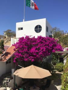 Zahrada ubytování Los Milagros Hotel