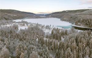 an aerial view of a snow covered forest and a lake at Stunning Home In Sysslebck With Kitchen in Branäs