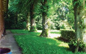 a garden with trees and grass and a path at Beautiful Apartment In Wingst in Wingst