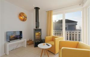 ein Wohnzimmer mit einem Kamin und einem TV in der Unterkunft Ferienhaus Port Olpenitz/Kappeln 4 in Olpenitz