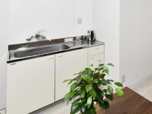 Kuchyň nebo kuchyňský kout v ubytování Suzumaru Hotel + 11 fotografií
