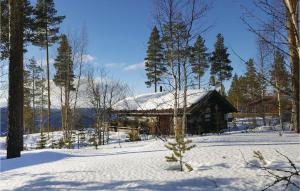 Cozy Home In Rendalen With House A Mountain View during the winter