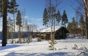 Cozy Home In Rendalen With House A Mountain View взимку