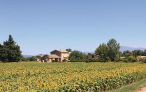 un champ de tournesols devant une maison dans l'établissement Cozy Home In Pernes Les Fontaines, à Pernes-les-Fontaines