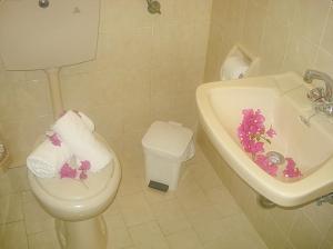 ケリオンにあるVilla Theodoraのバスルーム(トイレ、花のシンク付)