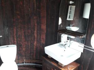 a bathroom with a sink and a toilet and a mirror at 200 éves vendégház in Balatonalmádi