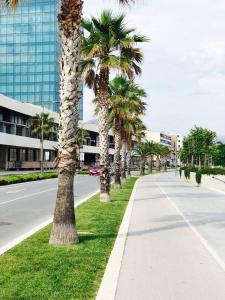 a sidewalk with palm trees on the side of a street at Adriatic Blue View in Split