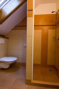 Koupelna v ubytování Apartment Rokys + 23 fotografií