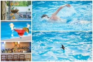 a collage of photos of a pool with a bird in the water at Neda Hotel in Olympia
