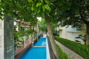 a swimming pool with blue water underneath a tree at Neda Hotel in Olympia
