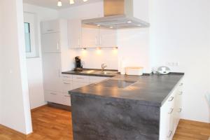 une cuisine avec un évier et un plan de travail dans l'établissement Apartment Seerhein, à Constance 4 autres photos