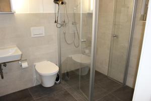 une salle de bain avec une douche, des toilettes et un lavabo dans l'établissement Apartment Seerhein, à Constance