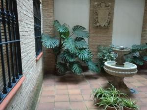 a courtyard with a fountain and some plants at Bernardo López con opción a parking in Jaén