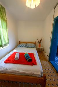 Tempat tidur dalam kamar di Danube Delta Hostel Homestay & Camping