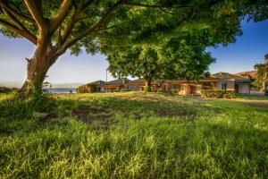 a house on a grassy hill with a tree at Daria- Authentic Israeli Experience in HaOn