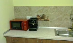 een aanrecht met een magnetron en een wastafel bij Casa TRANSILVANIA in Oradea +21 foto's