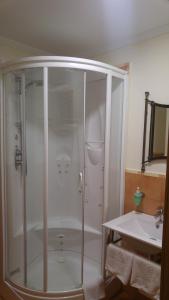 a shower in a bathroom next to a sink at Agroturismo La Casa Vieja in Maturana