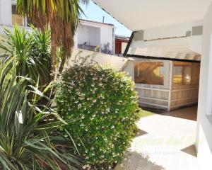 um arbusto com flores brancas em frente a um edifício em Duplex del Sol em Villa Carlos Paz