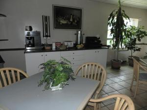 a kitchen with a table with plants on it at L'Auberge de l'Aeroport Inn in Dorval
